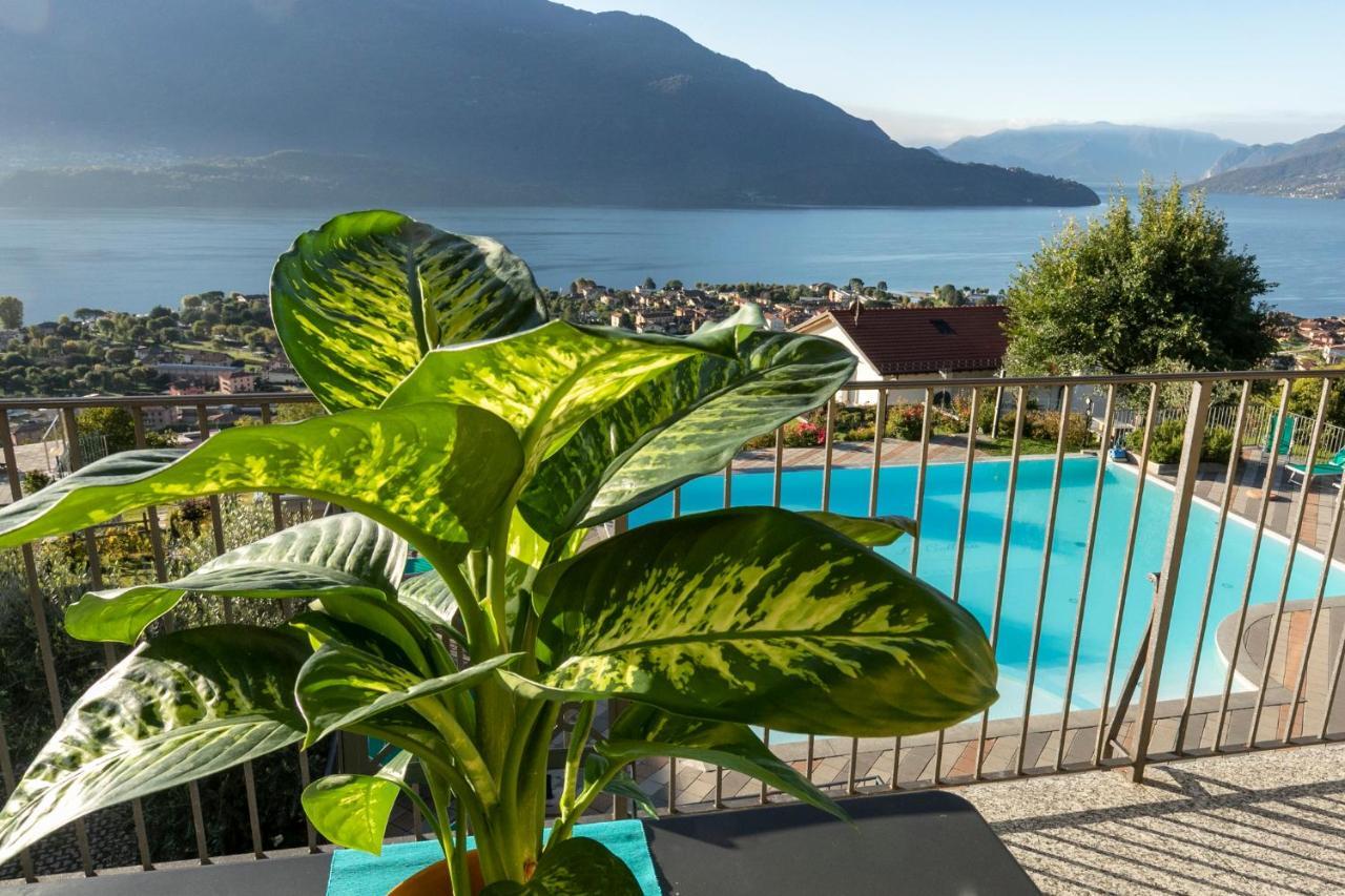 La Collina Degli Ulivi Apartment Vercana Exterior photo